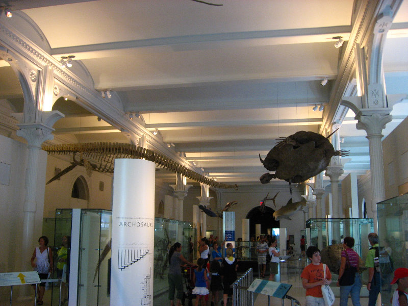 American-Museum-of-Natural-History-Manhattan-NYC-080