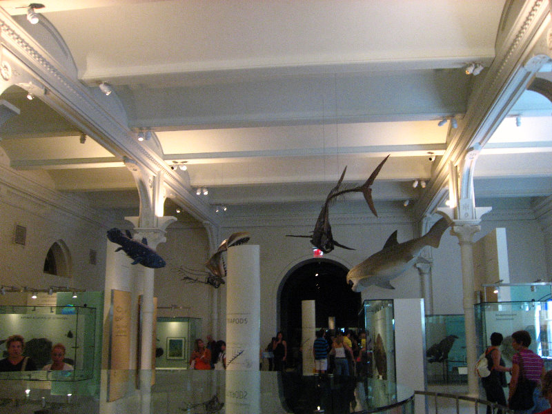 American-Museum-of-Natural-History-Manhattan-NYC-083
