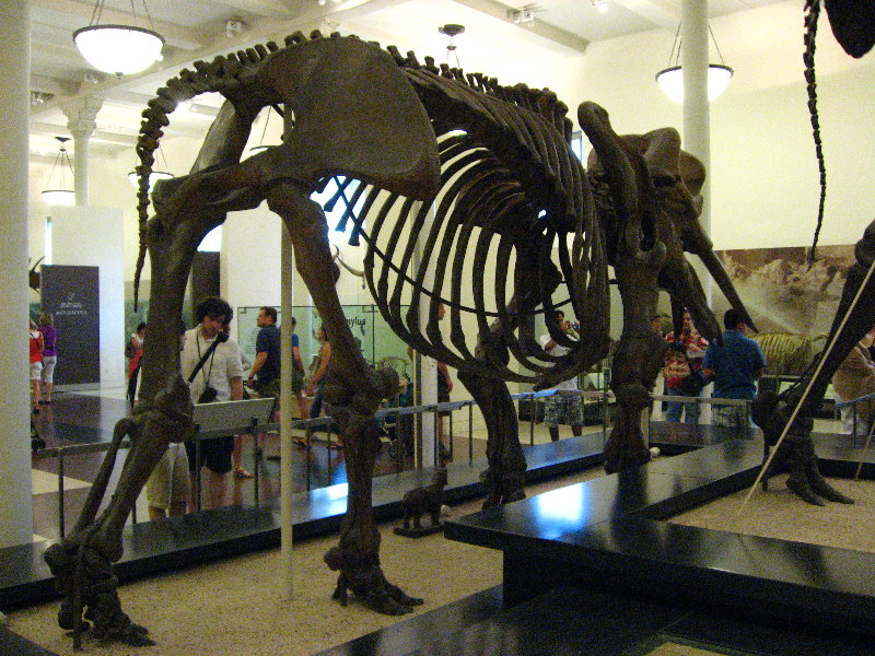 American-Museum-of-Natural-History-Manhattan-NYC-086