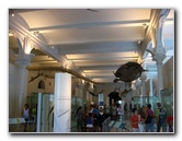American-Museum-of-Natural-History-Manhattan-NYC-080