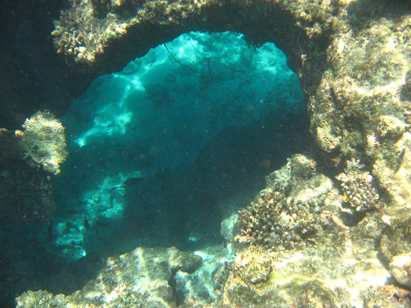 Fiji-Snorkeling-Underwater-Pictures-Amunuca-Resort-042