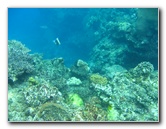 Fiji-Snorkeling-Underwater-Pictures-Amunuca-Resort-219