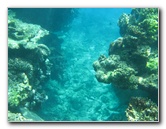 Fiji-Snorkeling-Underwater-Pictures-Amunuca-Resort-269