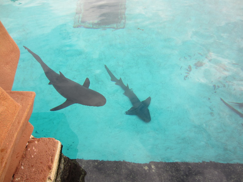 Bahama Water Park