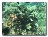 Canon-Underwater-Digital-Camera-Case-Review-036