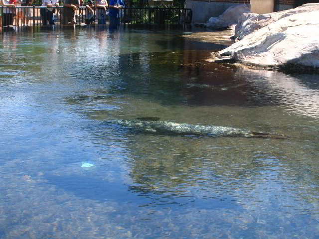 Lincoln-Park-Zoo-Chicago-004