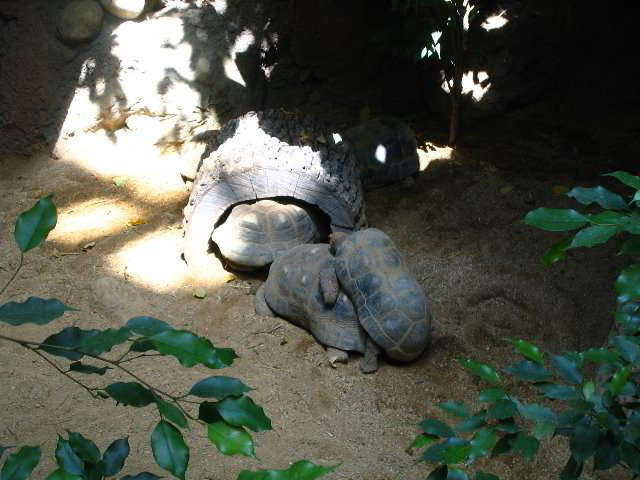 Lincoln-Park-Zoo-Chicago-048