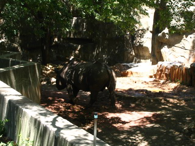 Lincoln-Park-Zoo-Chicago-059