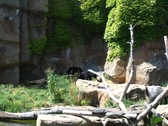 Lincoln-Park-Zoo-Chicago-074