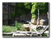 Lincoln-Park-Zoo-Chicago-074