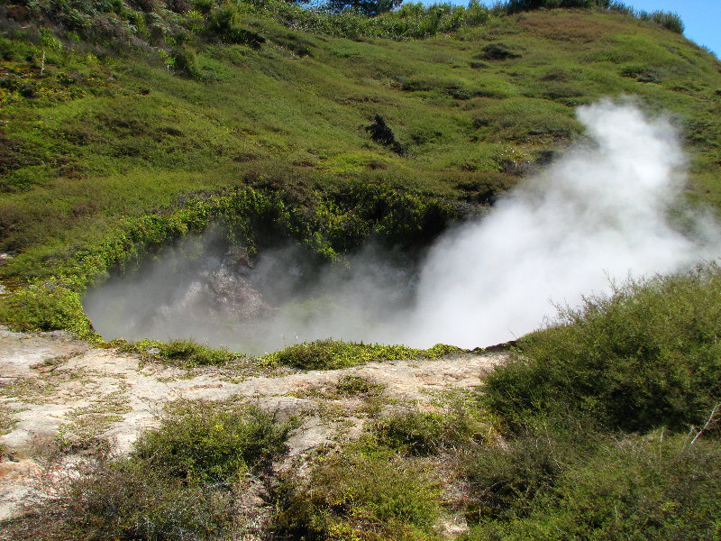Craters-of-the-Moon-Geothermal-Walk-Taupo-New-Zealand-047