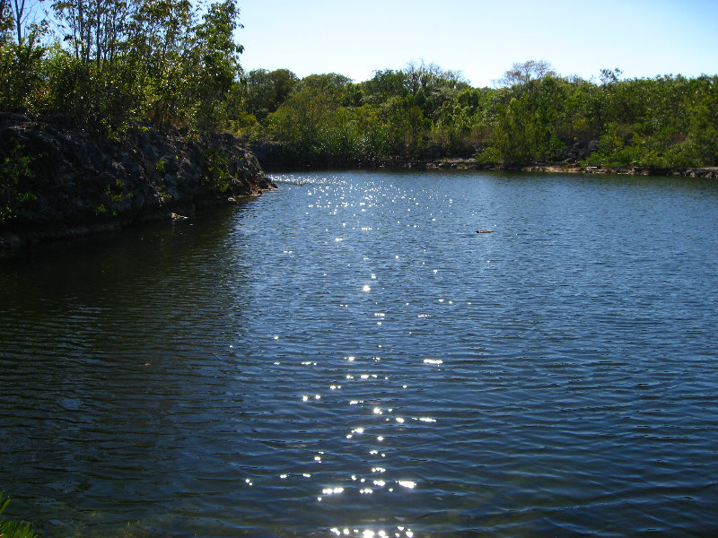 DagnyJohnsonKeyLargoHammockBotanicalStatePark024