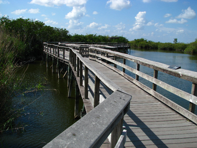 Everglades-National-Park-Homestead-FL-025