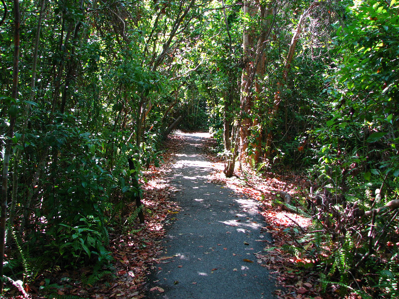 Everglades-National-Park-Homestead-FL-041