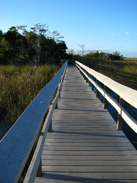 Everglades-National-Park-Homestead-FL-072