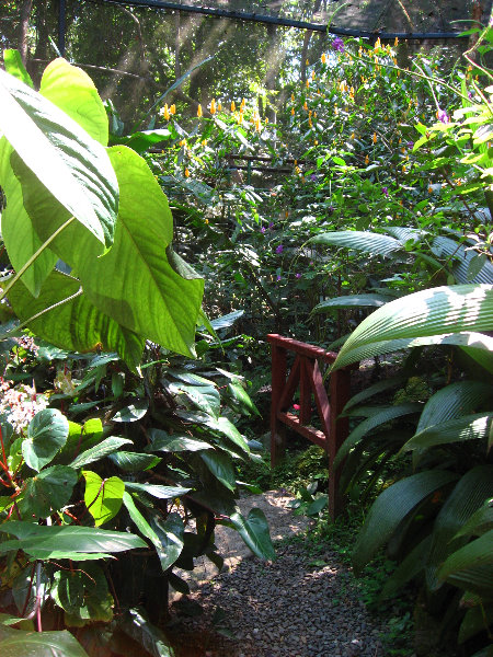 Fincas-Naturales-Butterfly-Garden-Costa-Rica-056