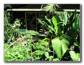 Fincas-Naturales-Butterfly-Garden-Costa-Rica-022