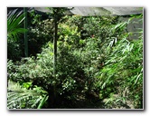 Fincas-Naturales-Butterfly-Garden-Costa-Rica-032