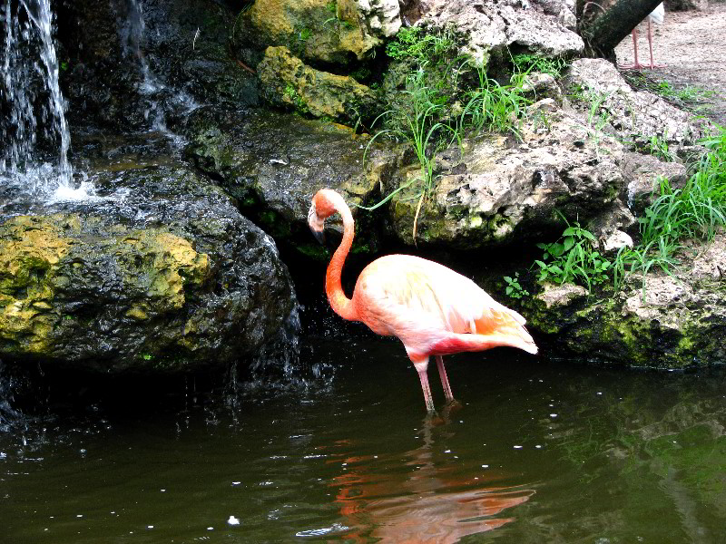 Flamingo-Gardens-Davie-FL-030
