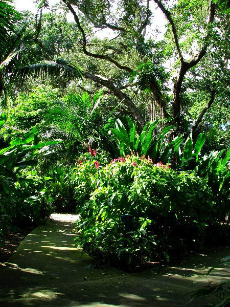 Flamingo-Gardens-Davie-FL-105