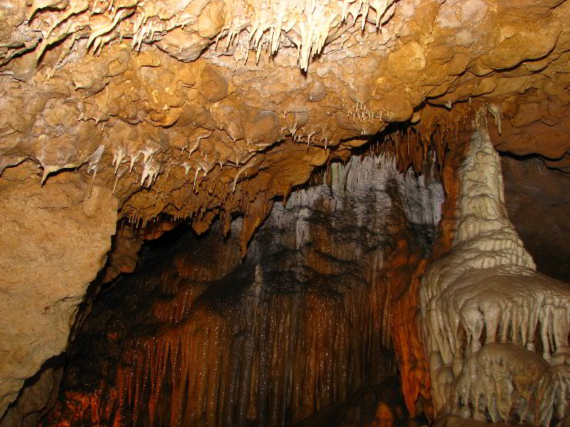 Florida-Caverns-State-Park-Marianna-FL-048