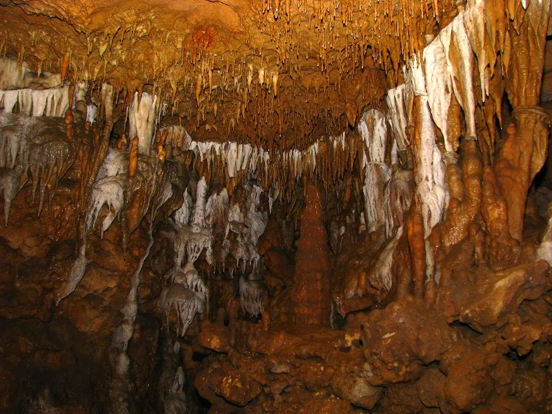 Florida-Caverns-State-Park-Marianna-FL-054