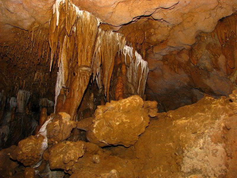 Florida-Caverns-State-Park-Marianna-FL-056