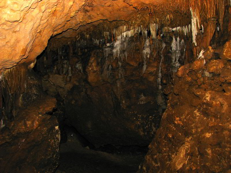 Florida-Caverns-State-Park-Marianna-FL-057