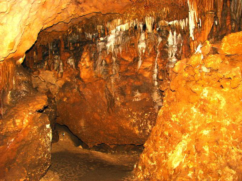 Florida-Caverns-State-Park-Marianna-FL-058