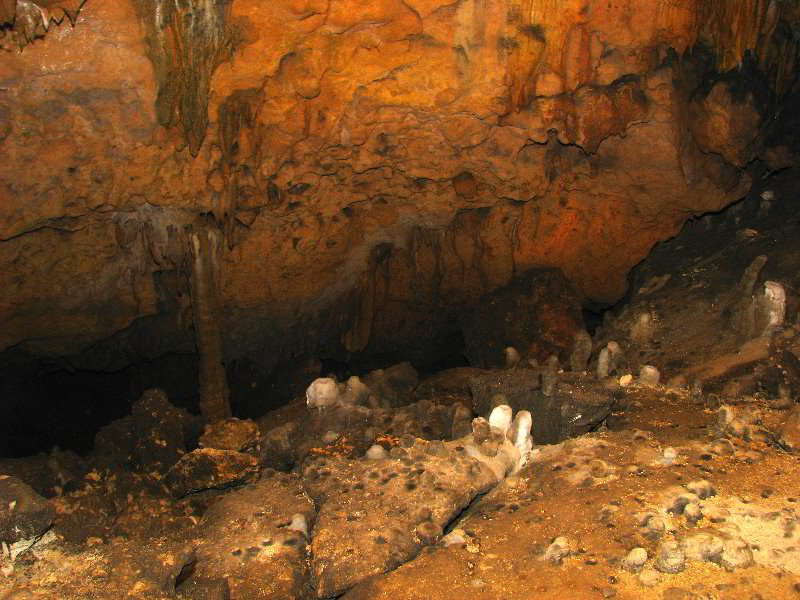 Florida-Caverns-State-Park-Marianna-FL-060