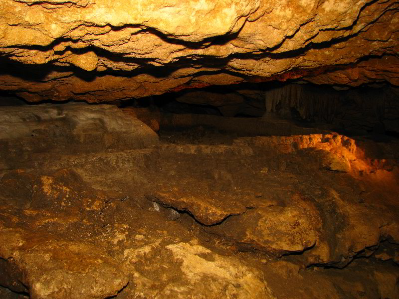 Florida-Caverns-State-Park-Marianna-FL-066