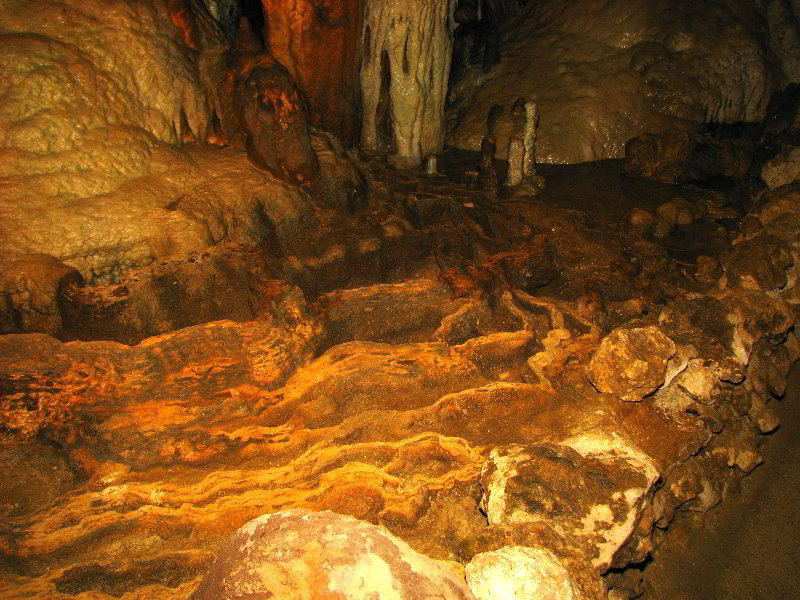 Florida-Caverns-State-Park-Marianna-FL-082