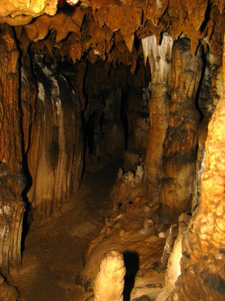 Florida-Caverns-State-Park-Marianna-FL-084