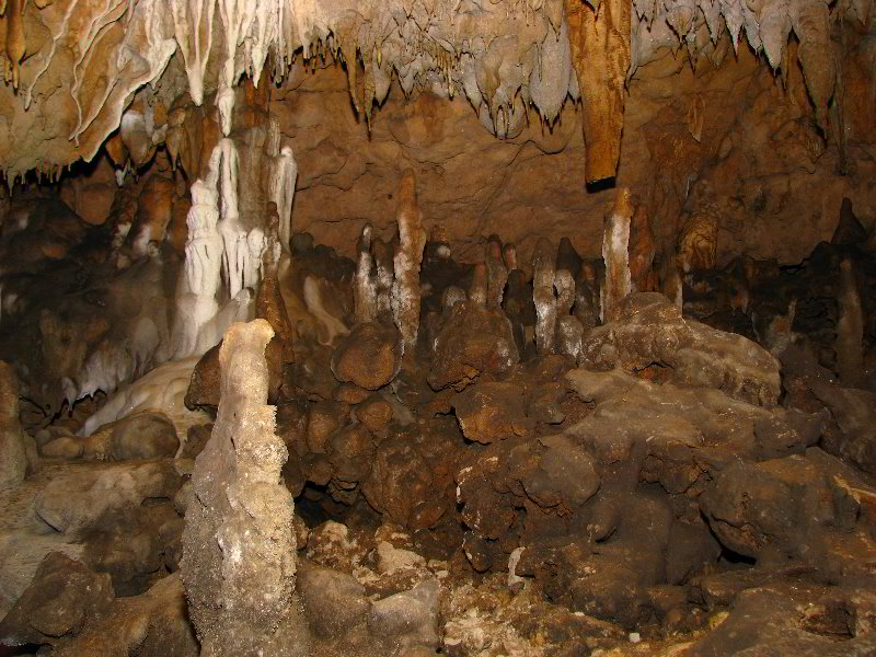 Florida-Caverns-State-Park-Marianna-FL-095