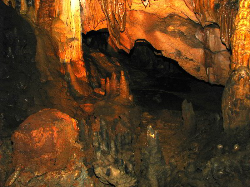 Florida-Caverns-State-Park-Marianna-FL-110