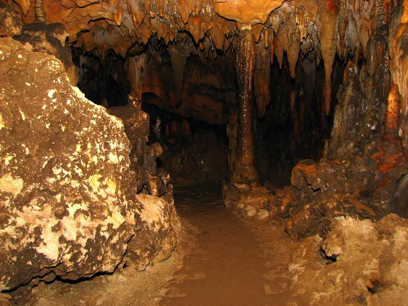 Florida-Caverns-State-Park-Marianna-FL-114