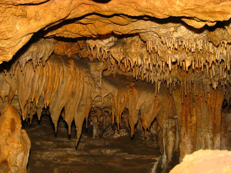 Florida-Caverns-State-Park-Marianna-FL-115