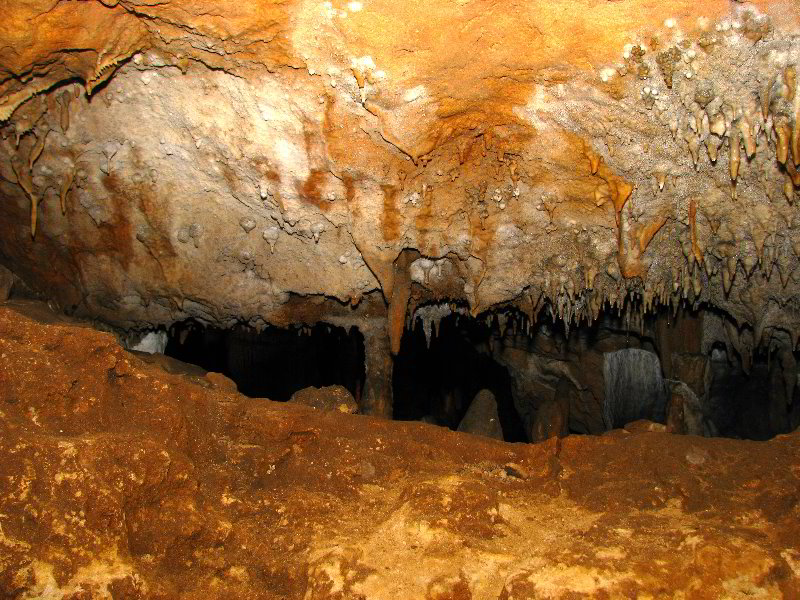Florida-Caverns-State-Park-Marianna-FL-116
