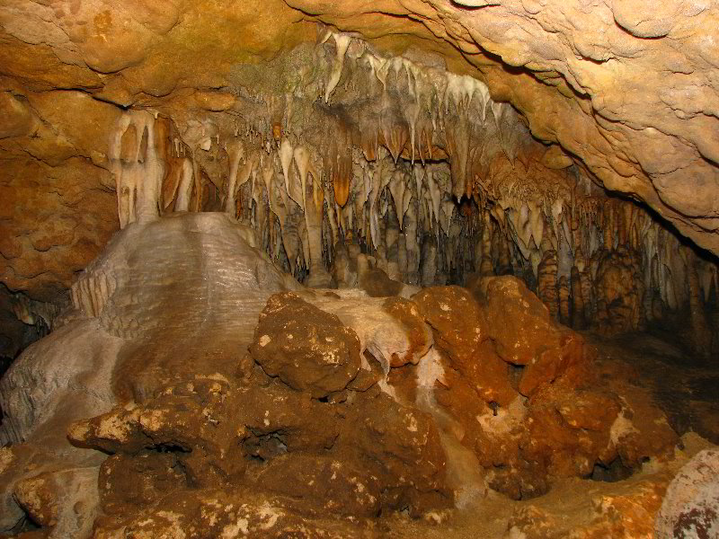 Florida-Caverns-State-Park-Marianna-FL-120