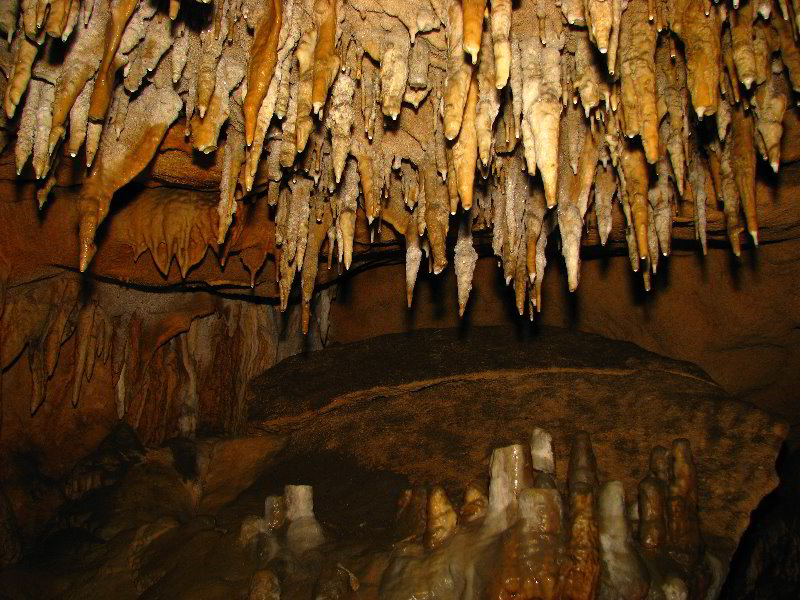 Florida-Caverns-State-Park-Marianna-FL-129