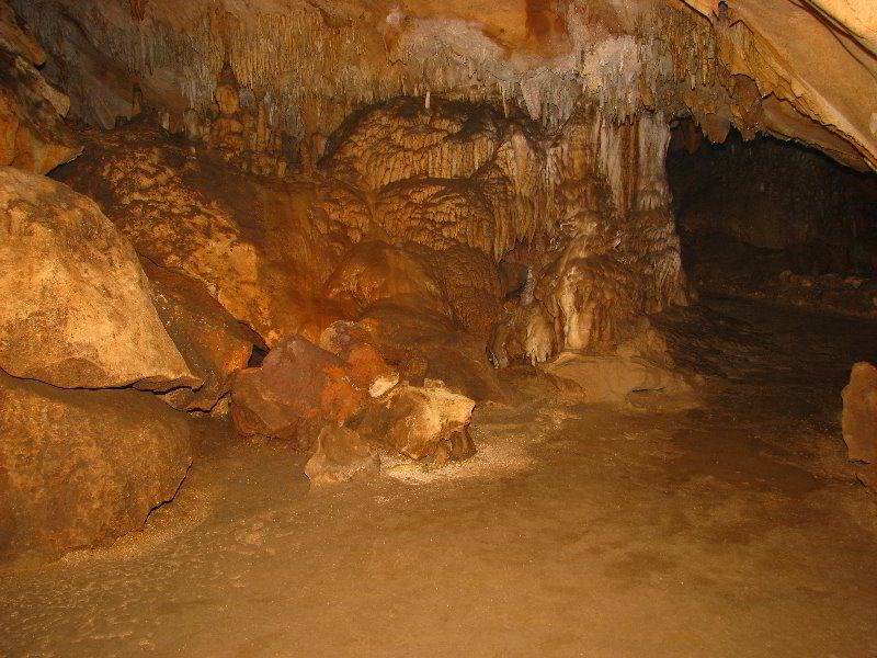 Florida-Caverns-State-Park-Marianna-FL-133