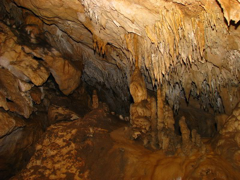 Florida-Caverns-State-Park-Marianna-FL-136