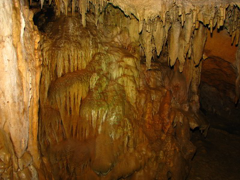 Florida-Caverns-State-Park-Marianna-FL-138