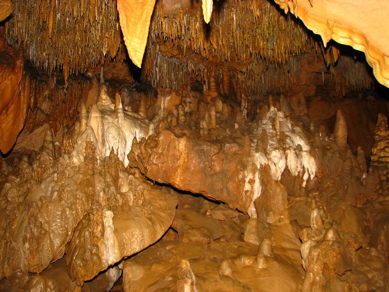 Florida-Caverns-State-Park-Marianna-FL-141