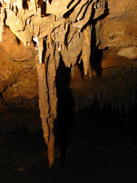 Florida-Caverns-State-Park-Marianna-FL-142