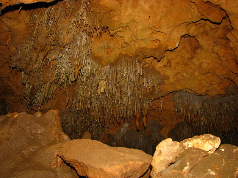 Florida-Caverns-State-Park-Marianna-FL-145