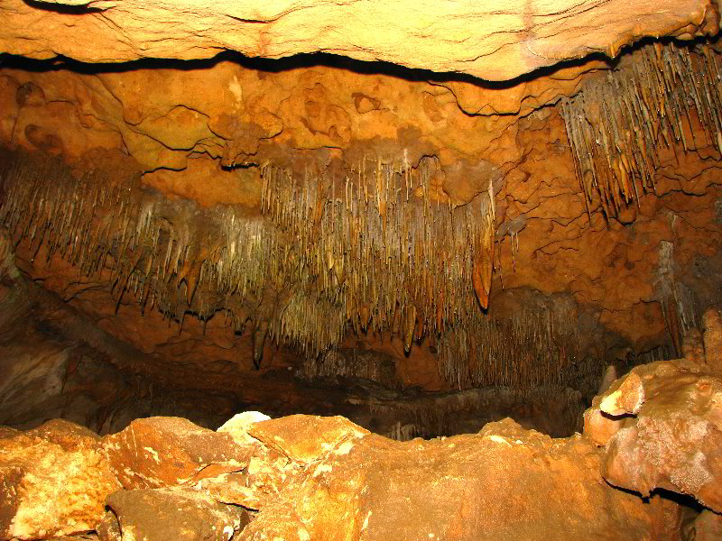 Florida-Caverns-State-Park-Marianna-FL-146
