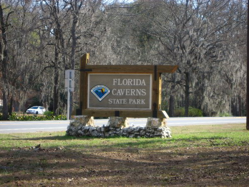 Florida-Caverns-State-Park-Marianna-FL-156