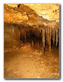 Florida-Caverns-State-Park-Marianna-FL-039