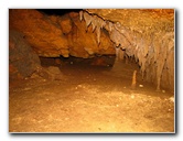 Florida-Caverns-State-Park-Marianna-FL-040